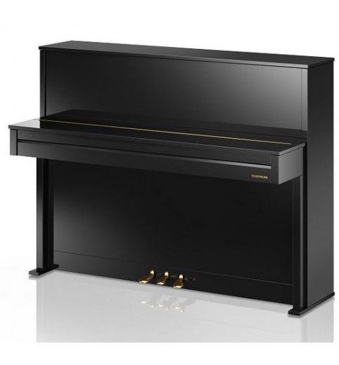 W. Hoffmann Vision V2